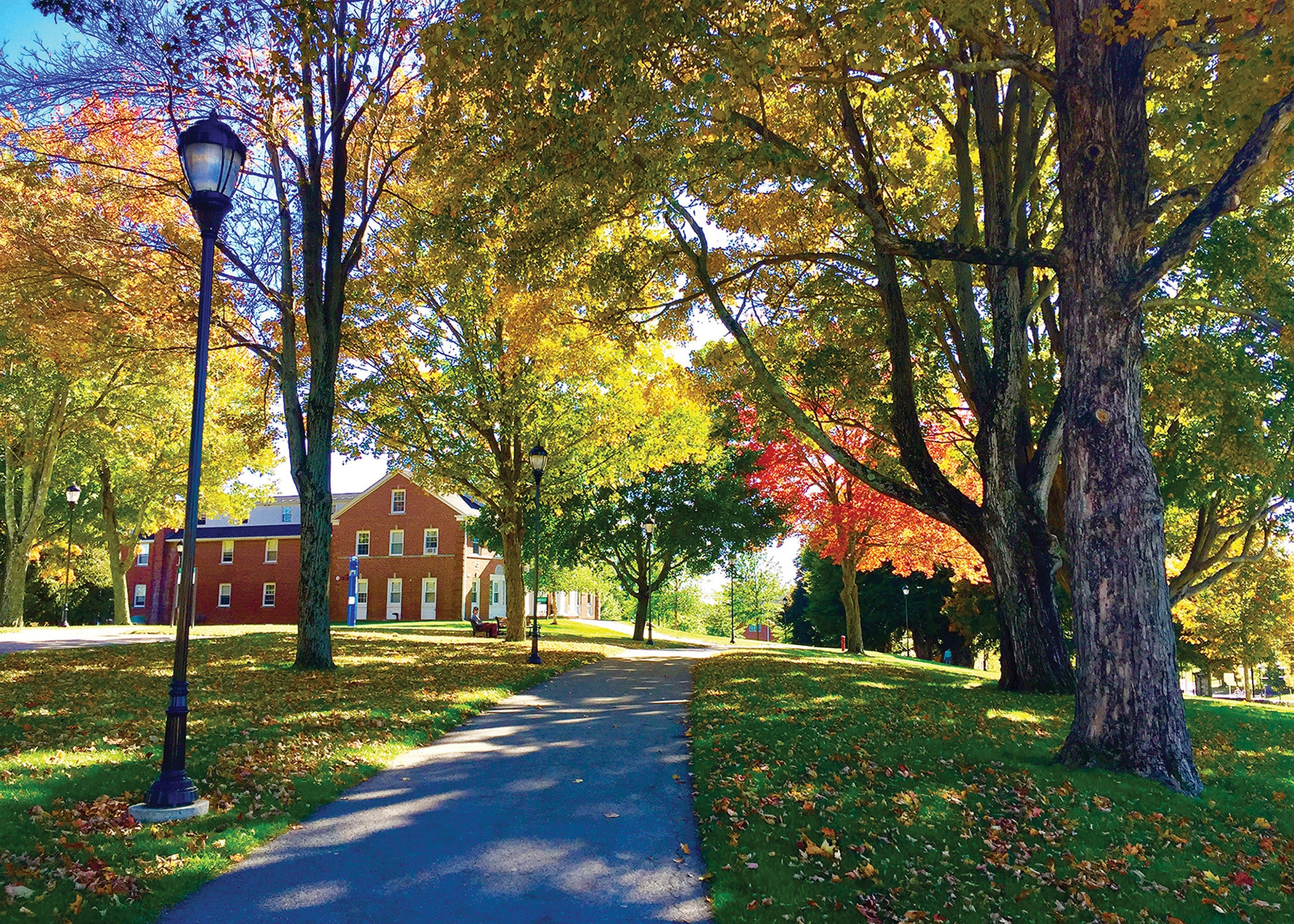 Financial Aid Nichols College